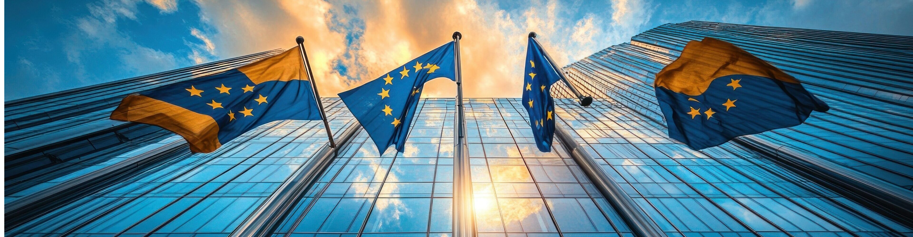 EU startet digitale Mehrwertsteuerreform: Was die verpflichtende E-Rechnungsstellung für Unternehmen bedeutet!
